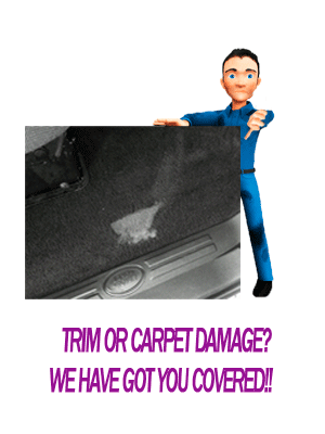 LVV Services Trim and Carpet Repairs